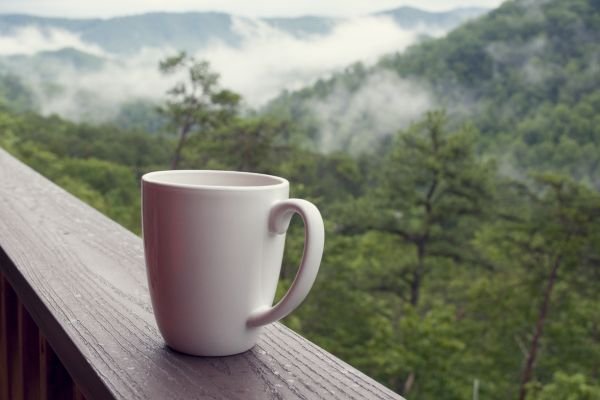 Cafeteria e Viagens: Destinos Imperdíveis para os Amantes de Café